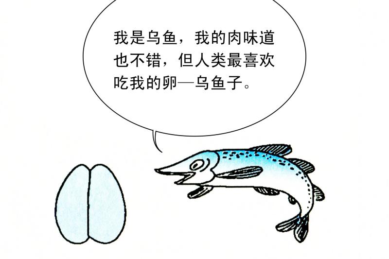 黑鱼