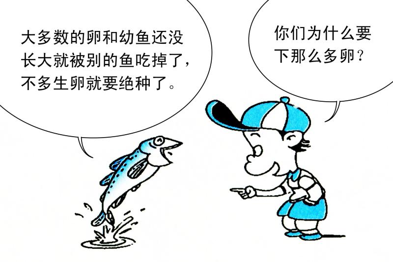 黑鱼