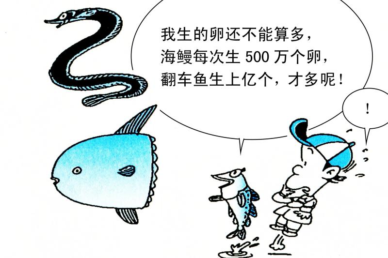 黑鱼